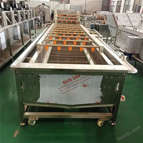 蔬菜清洗机 普通机械设备安装服务详解